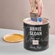 Annie Sloan große Wandfarbe Pinsel