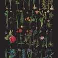 Decoupage-Papier Formal Garden Annie Sloan