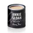 Annie Sloan Wandfarbe Old Ochre 120 ml